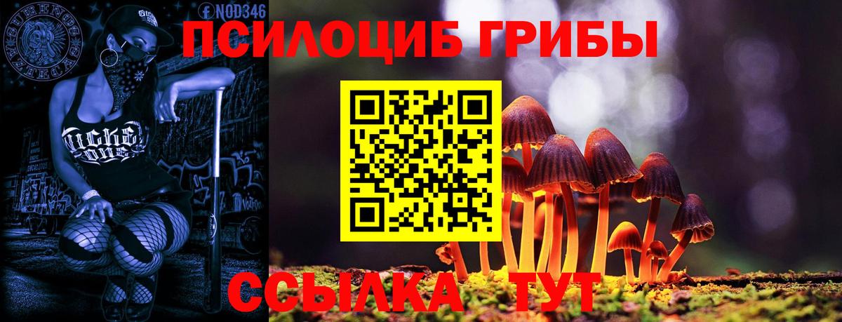 Избербаш  Галлюциногенные грибы Magic Shrooms  Вход с VPN 